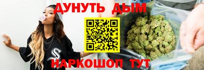 гидропоника Будённовск