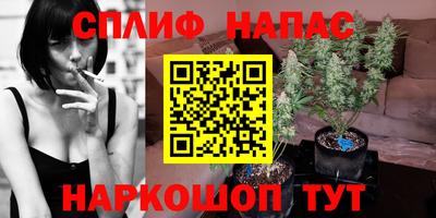 соль ск Бийск