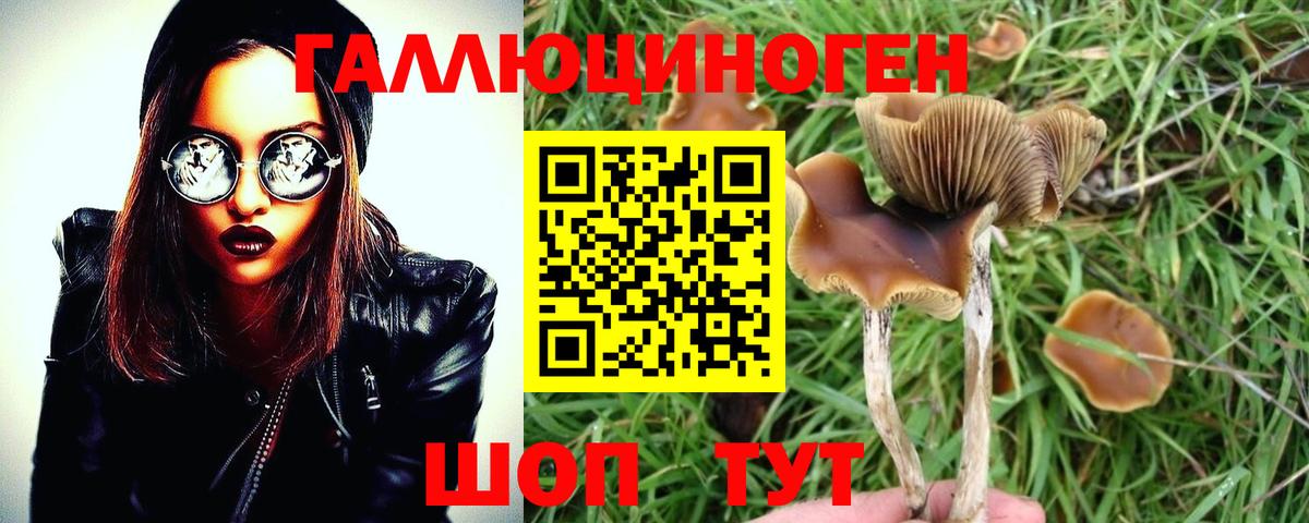 Галлюциногенные грибы мицелий  Галлюциногенные грибы мухоморы  Вход с VPN  Кимры 